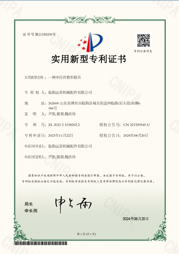 Patent Certificate 1
